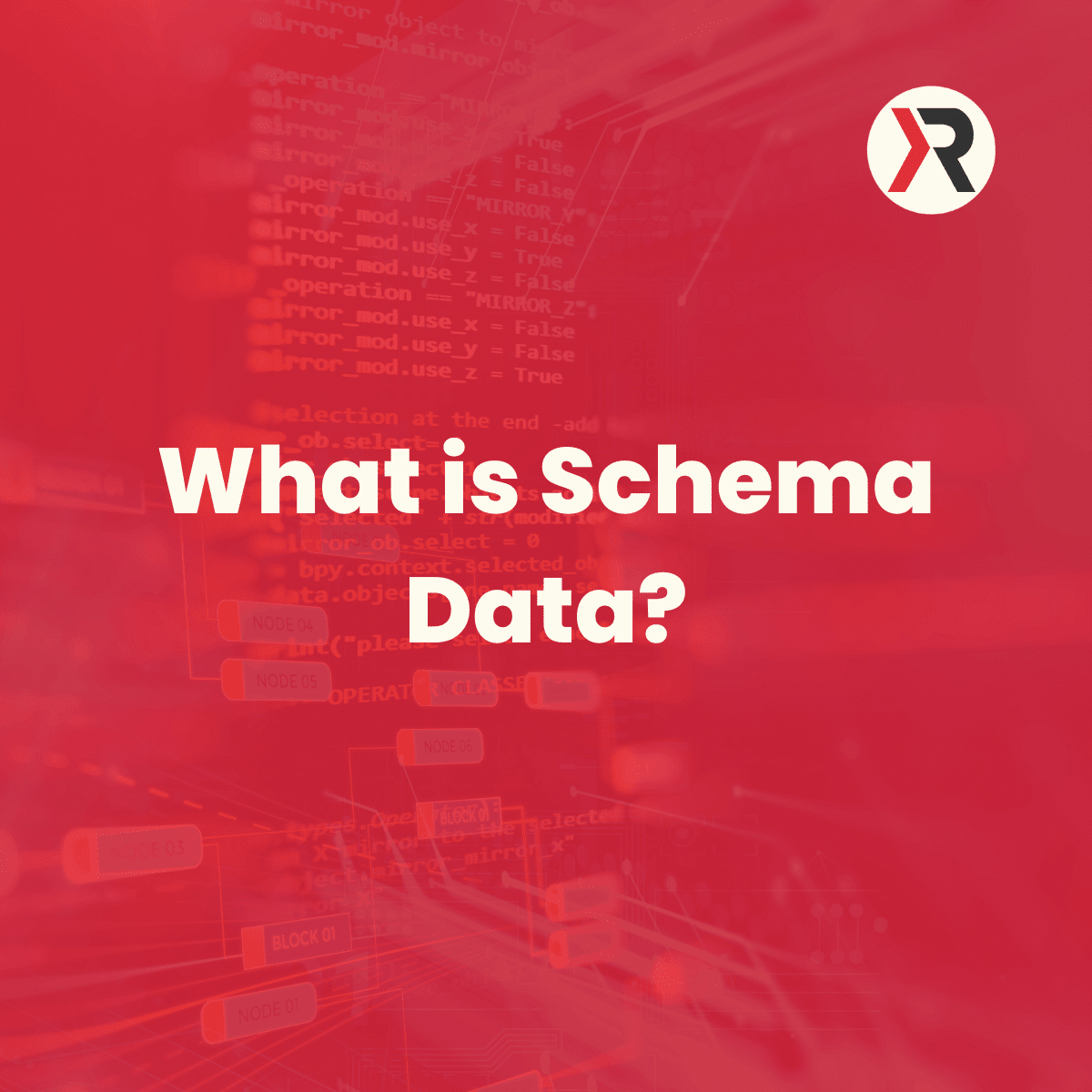 What is Schema Data